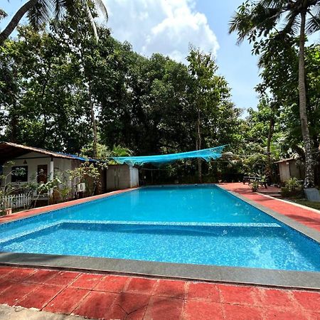 King Villa Goa 帕罗林 外观 照片