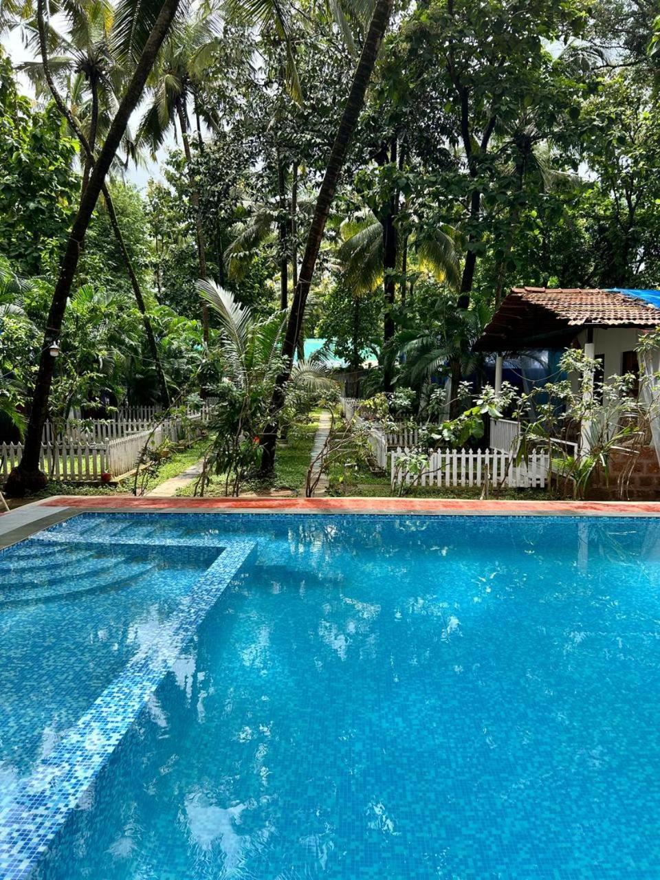 King Villa Goa 帕罗林 外观 照片